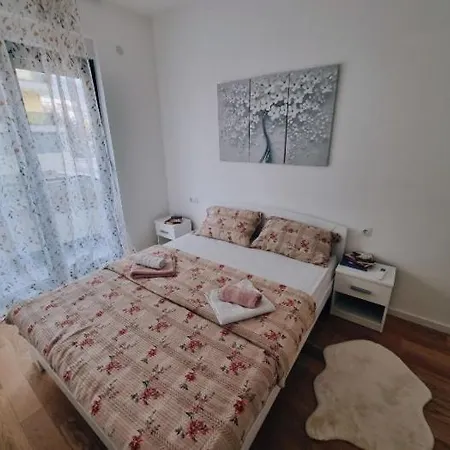 Platan-2 * Τρέμπινιε